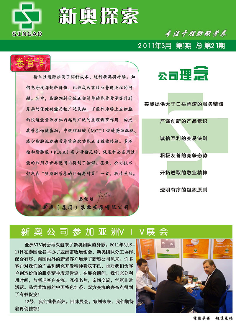 新澳2025精准正版免费详细解答、解释与落实