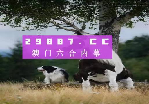 澳门今晚精准正版四不像图库大全,全面释义、解释和落实