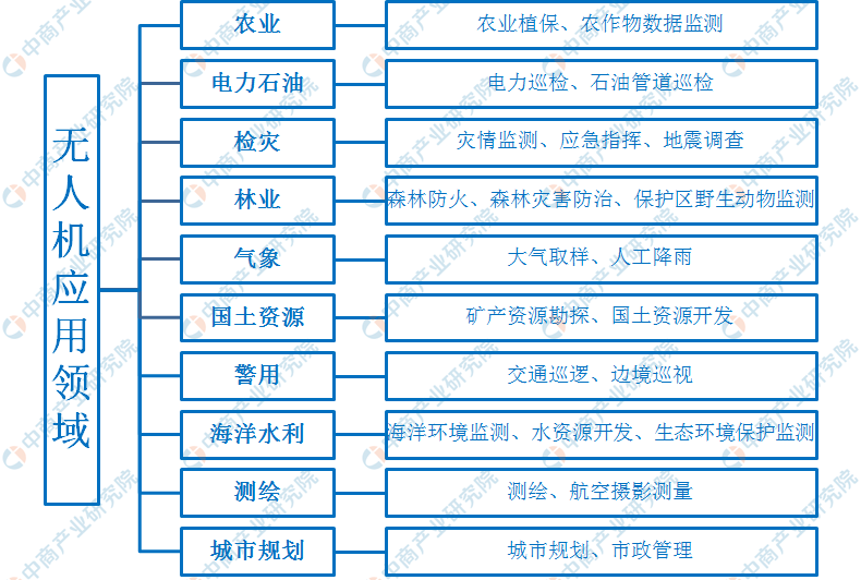 2025年全年资料免费大全，详细解答、解释与落实